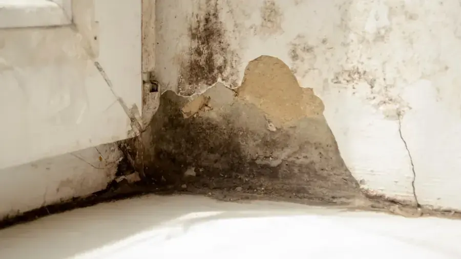Crawl space dried under a Gwinnett County home