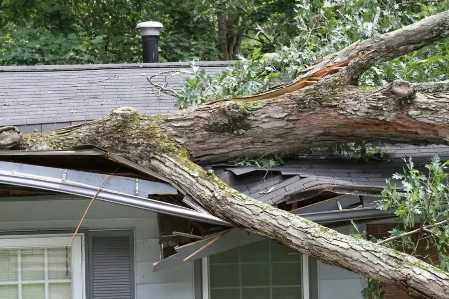 Homes and tree-lined streets in Snellville and Gwinnett County, Georgia