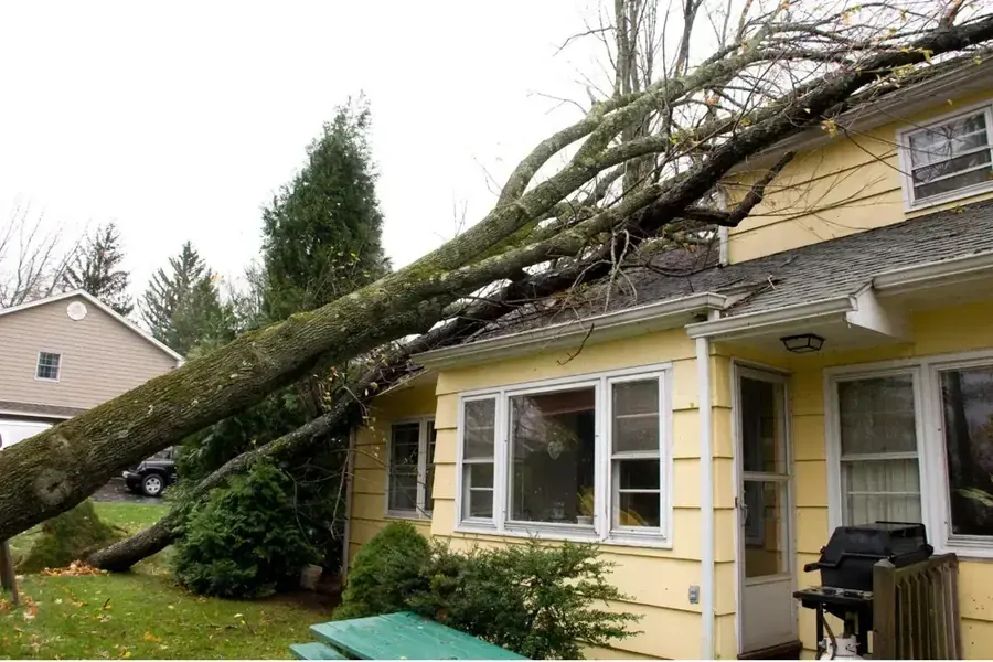 Large tree fallen across the roof of a Snellville home after a storm