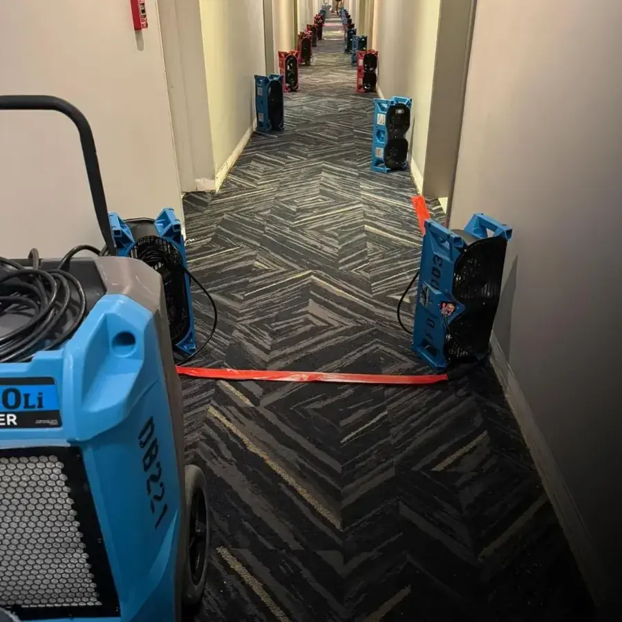 Air movers and a dehumidifier drying a Snellville room